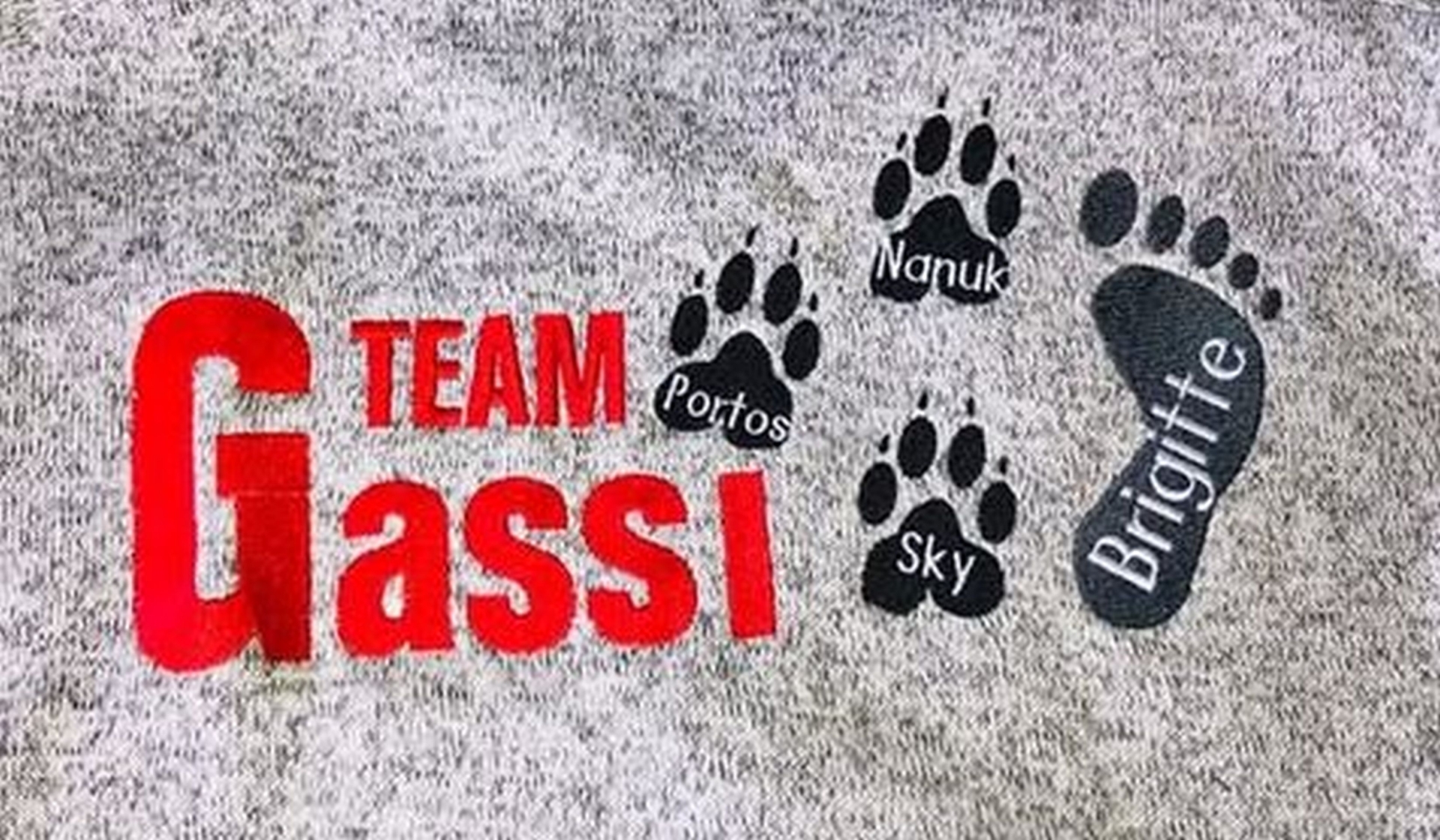 Bild gassi Team